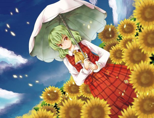 Обои картинки фото аниме, touhou, взгляд, девушка, фон