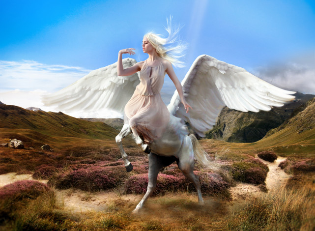 Обои картинки фото фэнтези, фотоарт, фон, девушка, пегас