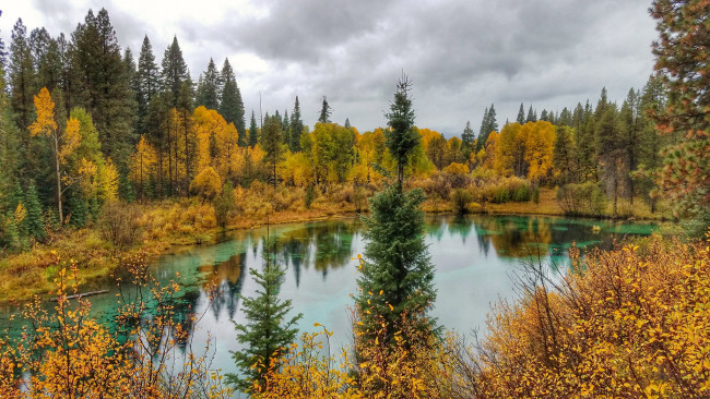 Обои картинки фото природа, реки, озера, лес, река