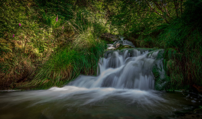 Обои картинки фото природа, водопады, лес, река, водопад