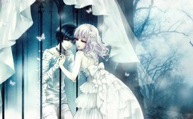 Обои картинки фото аниме, wand of fortune, двое, клетка