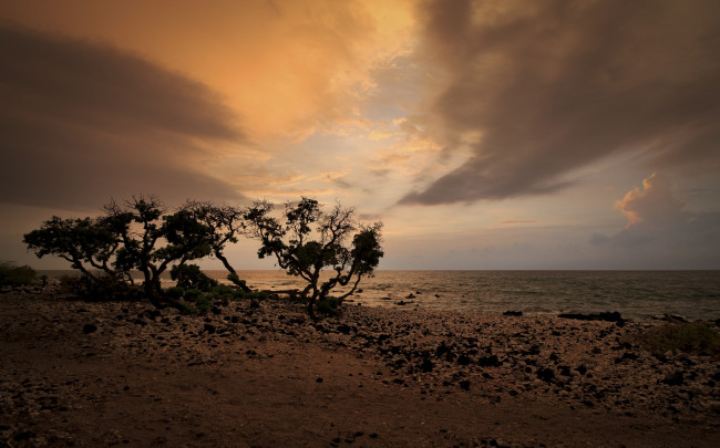 Обои картинки фото природа, восходы, закаты, рассвет