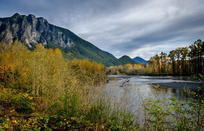 Обои картинки фото природа, реки, озера, река, лес