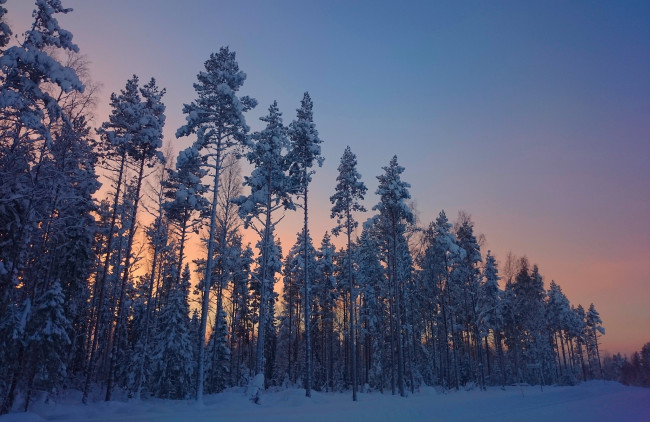 Обои картинки фото природа, зима, снег