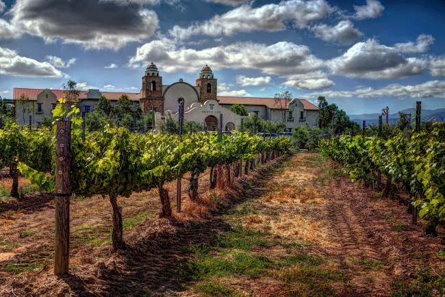 Обои картинки фото города, - пейзажи, виноградник, поместье