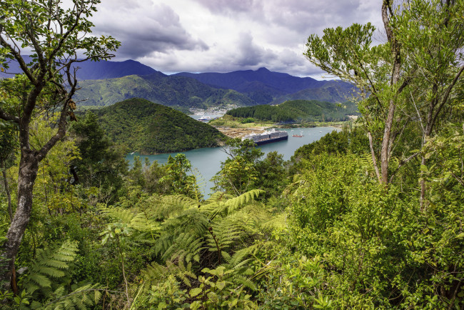 Обои картинки фото корабли, порты ,  причалы, круиз, лайнер