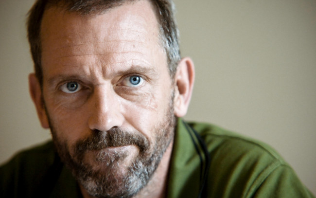 Обои картинки фото мужчины, hugh laurie, лицо, актер, борода