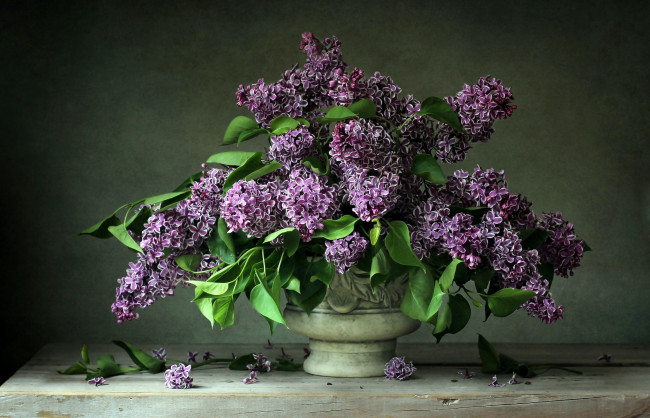 Обои картинки фото цветы, сирень, букет