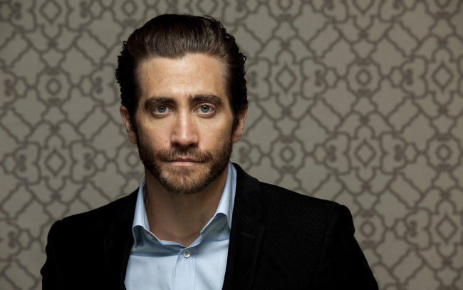 Обои картинки фото мужчины, jake gyllenhaal, jake, gyllenhaal