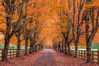 обоя природа, дороги, пейзаж