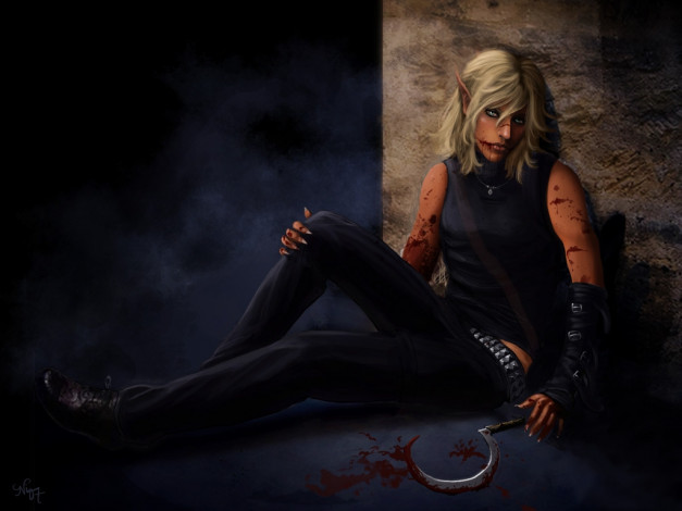 Обои картинки фото фэнтези, эльфы