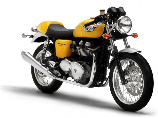 Обои картинки фото triumph, thruxton, 2006, мотоциклы