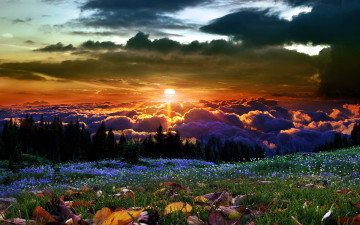 Картинка природа восходы закаты