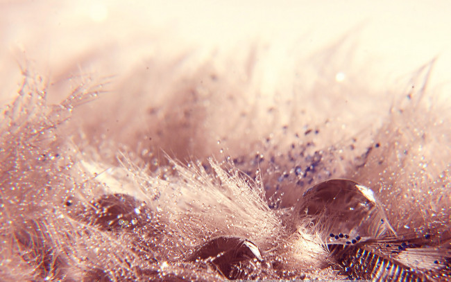 Обои картинки фото разное, капли, брызги, всплески