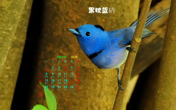 обоя календари, животные