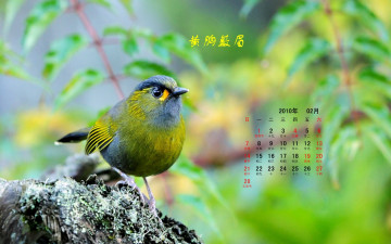 обоя календари, животные