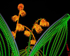 Картинка разное иллюминация