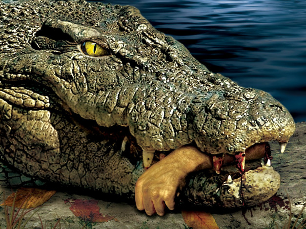 Обои картинки фото lake, placid, кино, фильмы