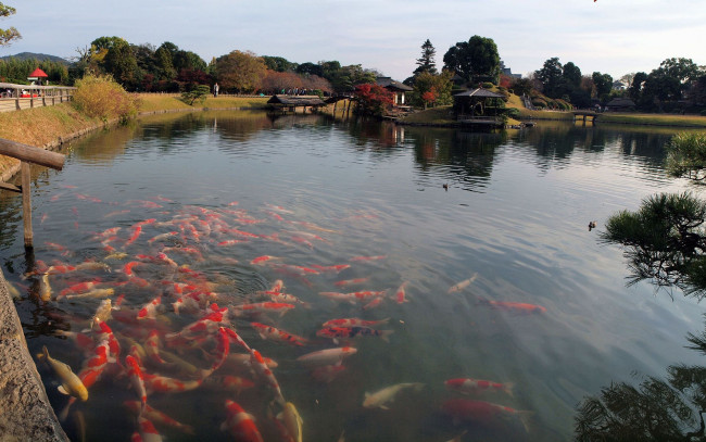 Обои картинки фото природа, реки, озера