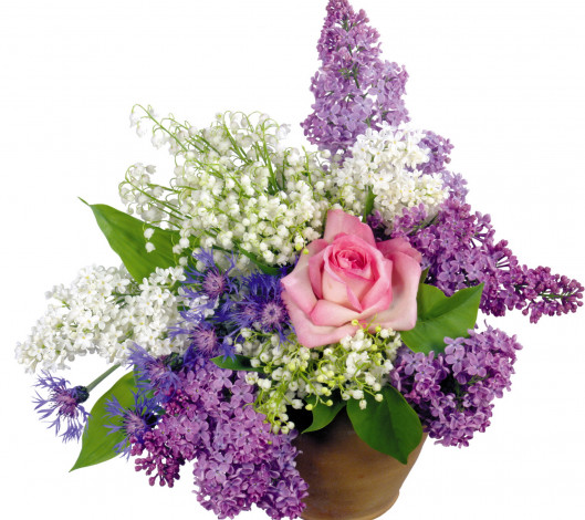 Обои картинки фото цветы, букеты, композиции, васильки, ландыши, сирень, роза