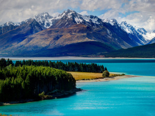 Картинка lake tekapo new zealand природа реки озера деревья лес горы новая зеландия озеро текапо