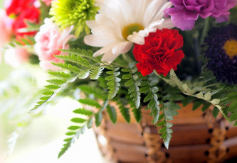 Картинка цветы букеты композиции астры гвоздики папоротник