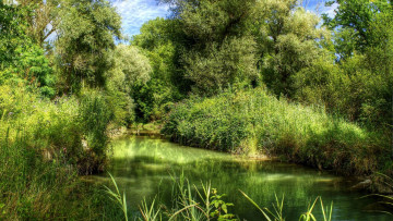 Картинка природа реки озера река заводь покой