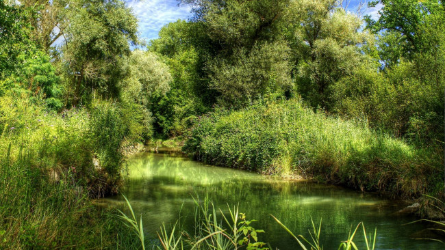 Обои картинки фото природа, реки, озера, река, заводь, покой