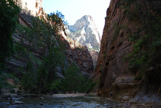 Обои картинки фото zion, national, park, природа, горы, лес, река