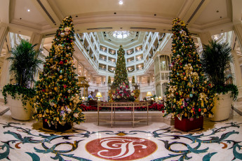 Картинка праздничные Ёлки отель интерьер