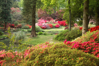 Картинка exbury+gardens+англия природа парк сад родендромы деревья англия