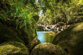 Картинка природа реки озера мох камни