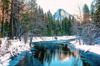 Картинка природа реки озера река yosemite деревья пейзаж