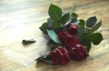 Картинка цветы розы бутоны