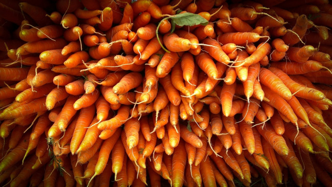 Обои картинки фото еда, морковь, корнеплоды