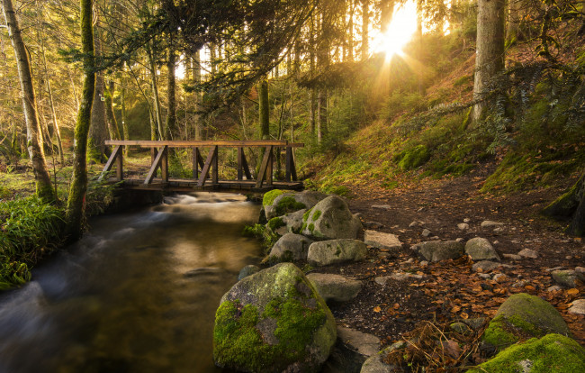 Обои картинки фото природа, реки, озера, лес