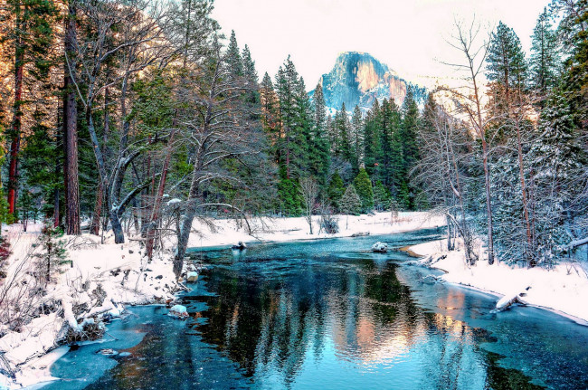 Обои картинки фото природа, реки, озера, река, yosemite, деревья, пейзаж