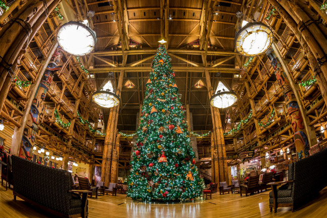 Обои картинки фото праздничные, Ёлки, флорида, орландо