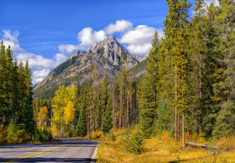 Картинка природа дороги шоссе лес горы