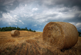 Картинка природа поля тучи стога поле