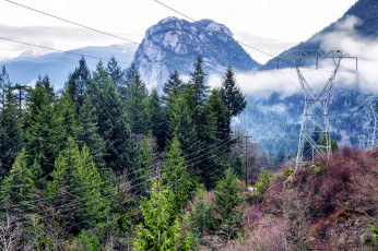 Картинка природа горы дымка лес