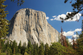 Картинка природа горы лес гора