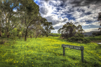 Картинка природа луга тучи лес луг