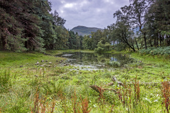 Картинка природа реки озера река горы лес