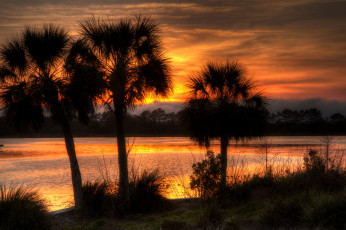 Картинка природа тропики сумрак зарево пальмы