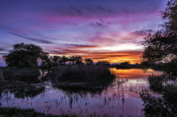 Картинка природа восходы закаты река лес вечер