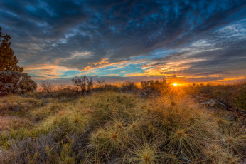 Картинка природа восходы закаты заря поле горизонт