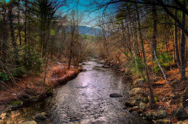 Обои картинки фото природа, реки, озера, осень, река, лес