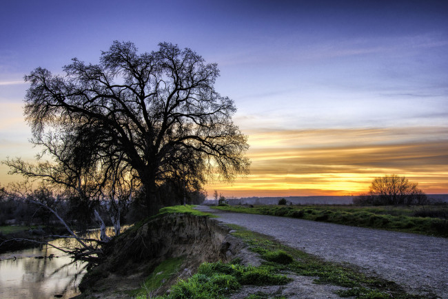 Обои картинки фото природа, дороги, река, заря, дерево, дорога