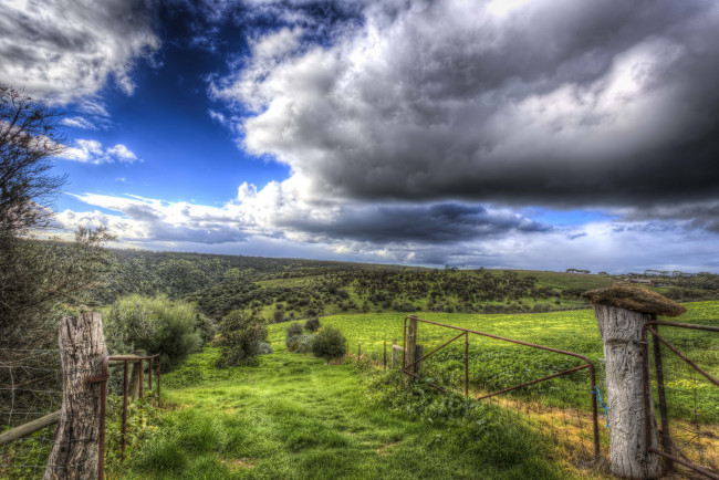 Обои картинки фото природа, луга, поле, изгородь, тучи